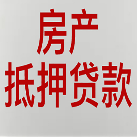 恩阳贷款中介公司新渝启服收入如何确定